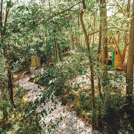 Appartamento Blue Brambler Glamping A-Frame Rockbridge Esterno foto