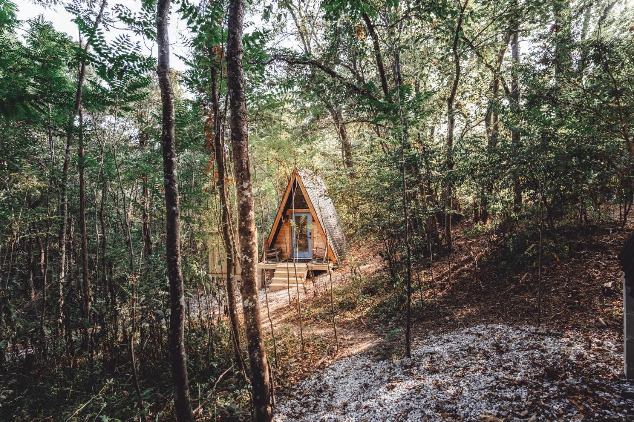 Appartamento Blue Brambler Glamping A-Frame Rockbridge Esterno foto