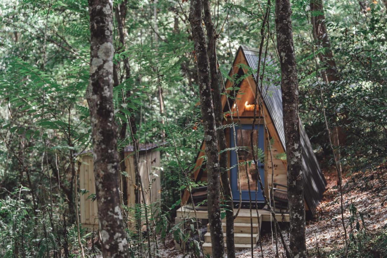 Appartamento Blue Brambler Glamping A-Frame Rockbridge Esterno foto