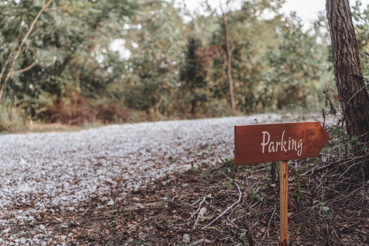 Appartamento Blue Brambler Glamping A-Frame Rockbridge Esterno foto