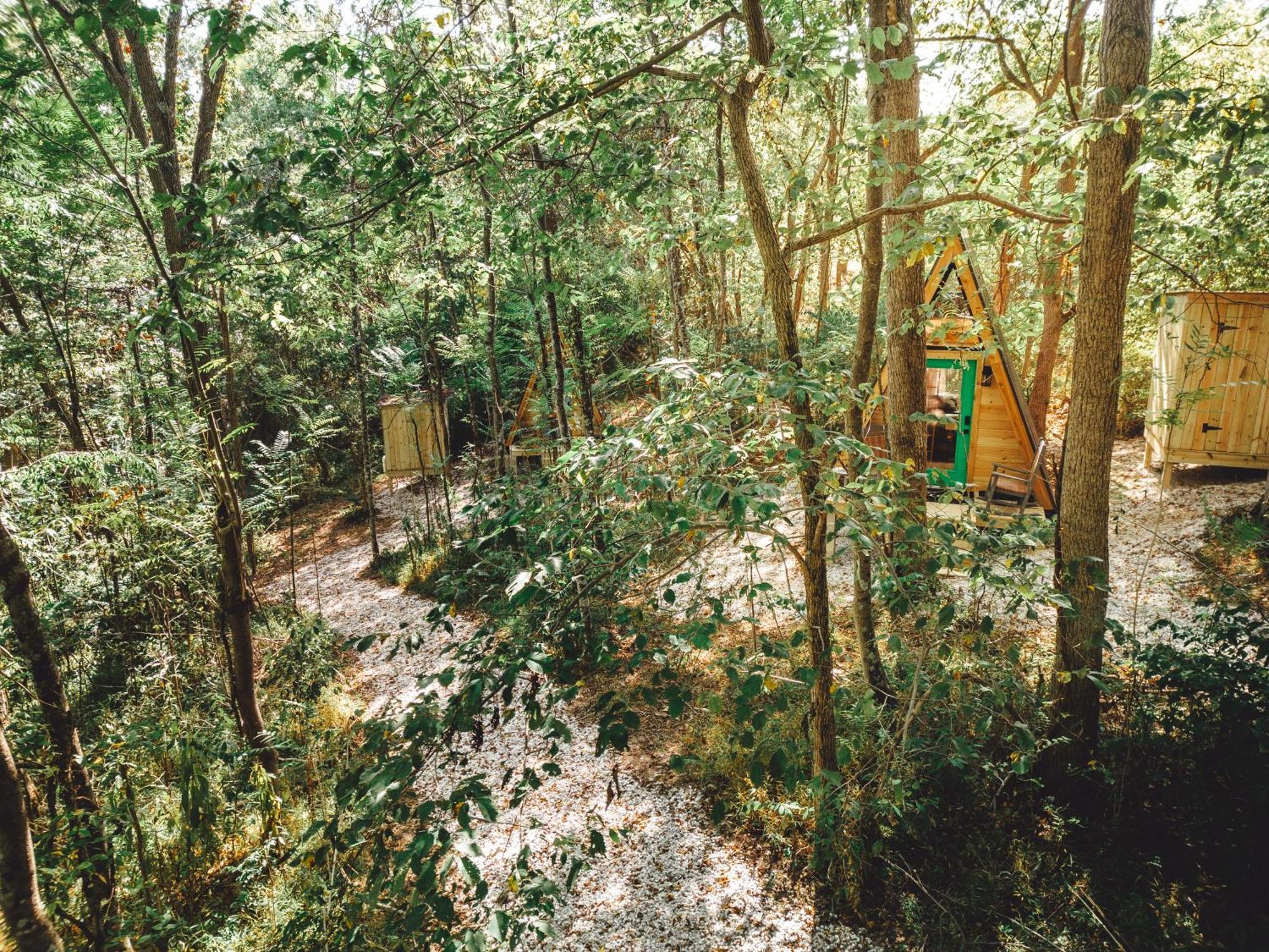 Appartamento Blue Brambler Glamping A-Frame Rockbridge Esterno foto